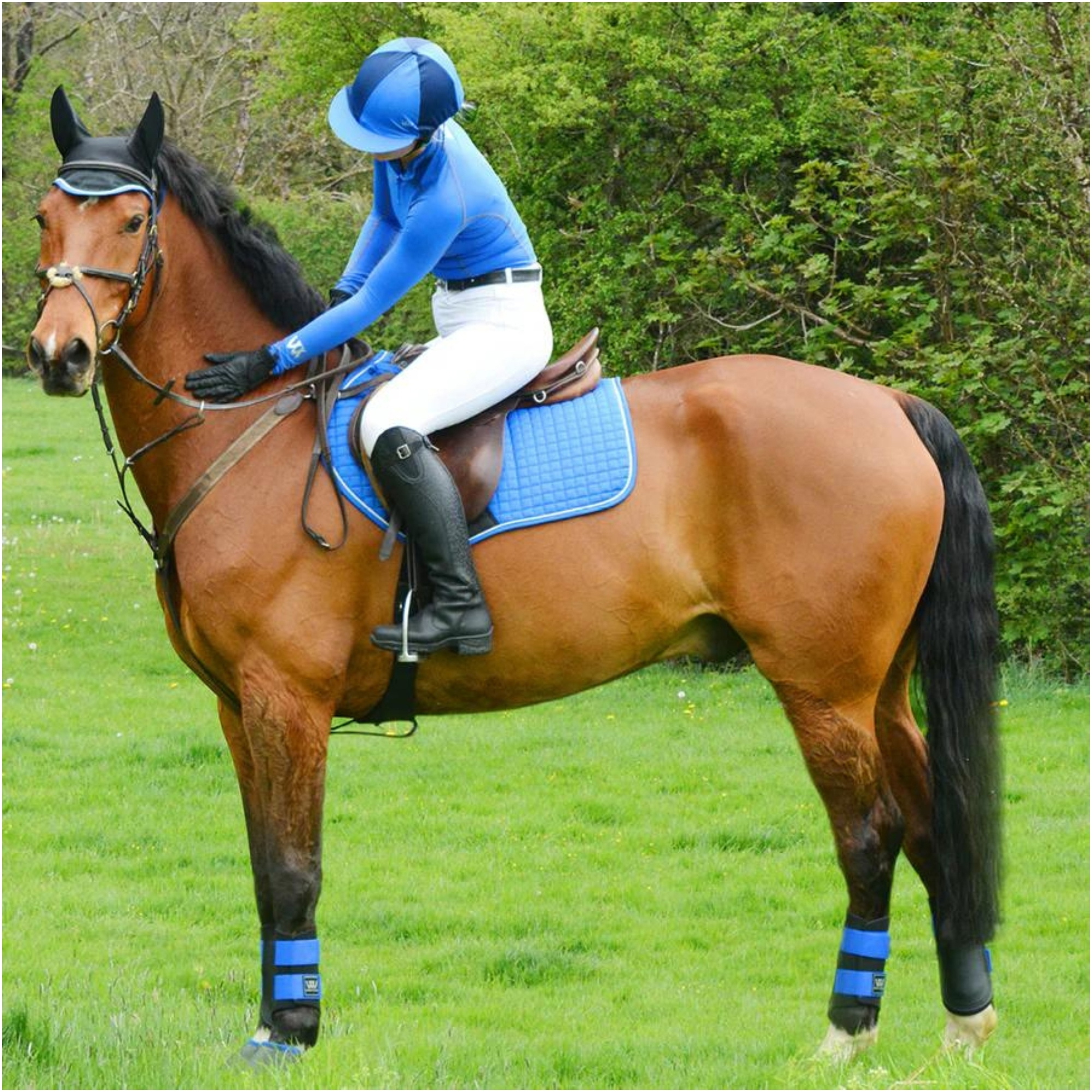 Woof Wear Leistungs-Reit-Hemd WA0001 - Electric Blue